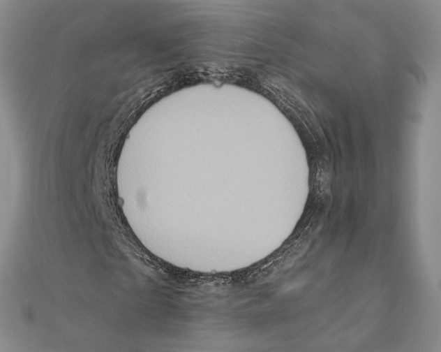 X0000111160865200907281151