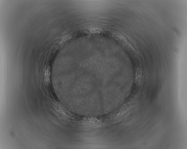 X0000111160866200907281151