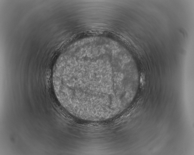 X0000111160867200907281151