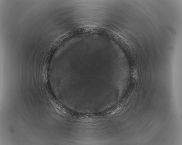 X0000111160868200907281151