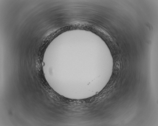X0000111160869200907281151