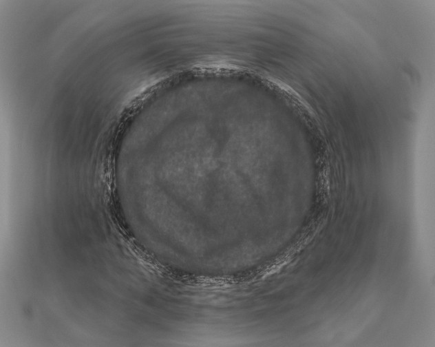 X0000111160870200907281151