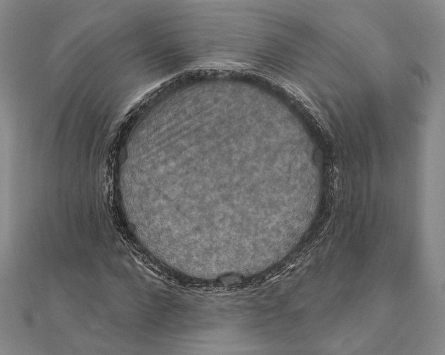 X0000111160872200907281151