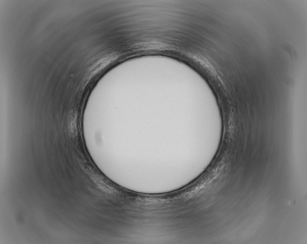 X0000111160873200907281151