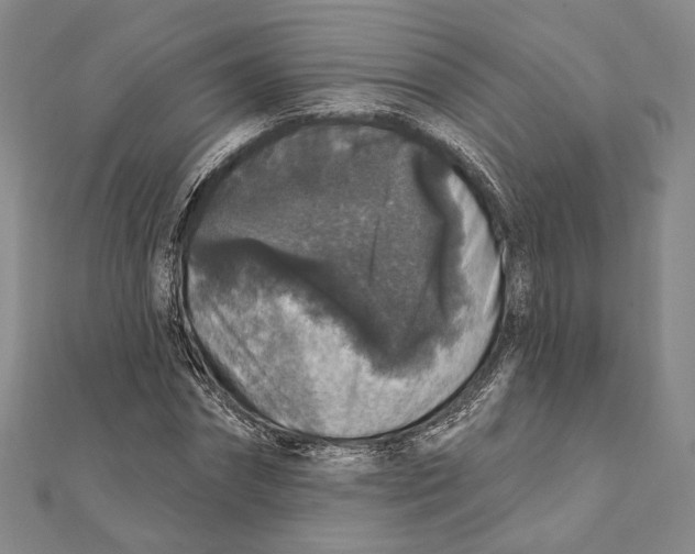 X0000111160874200907281151