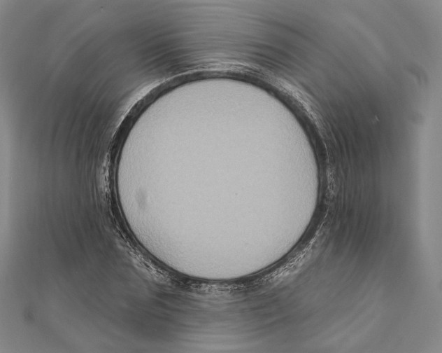 X0000111160875200907281151