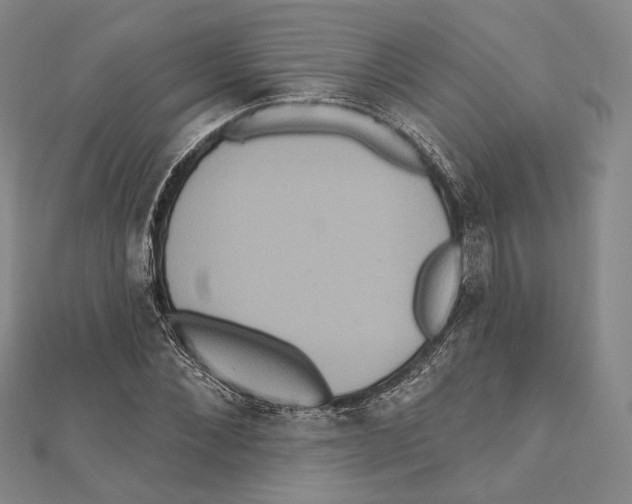 X0000111160876200907281151