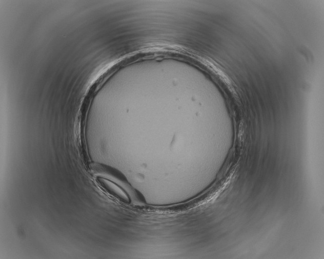 X0000111160877200907281151