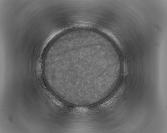 X0000111160878200907281151
