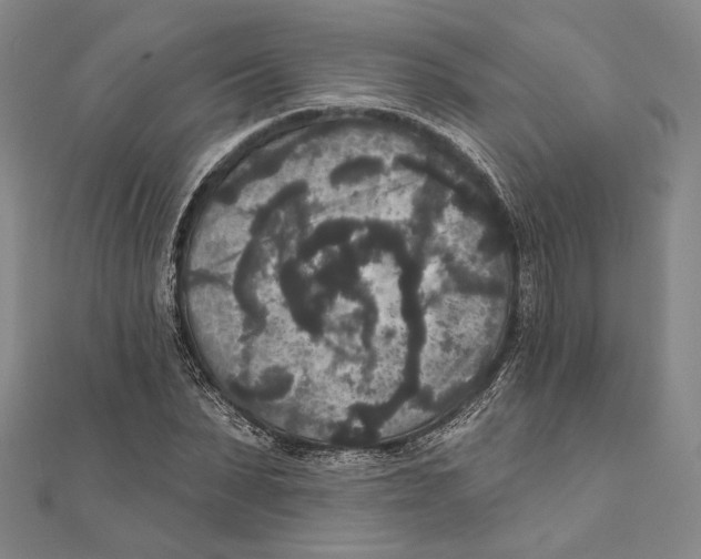X0000111160879200907281151