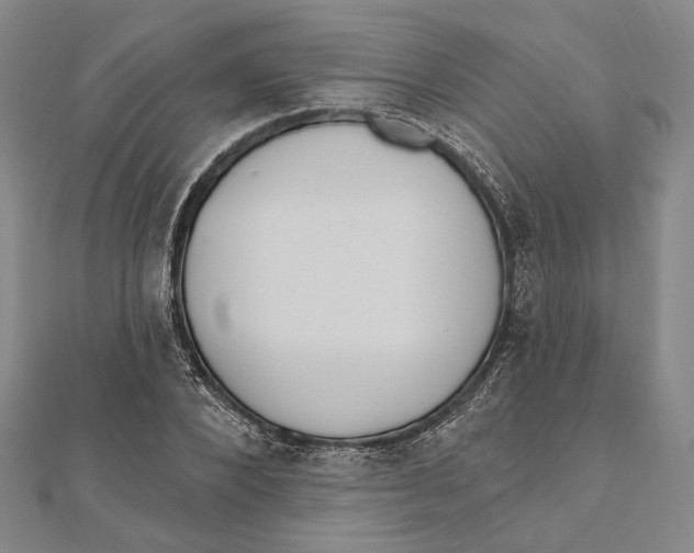 X0000111160880200907281151
