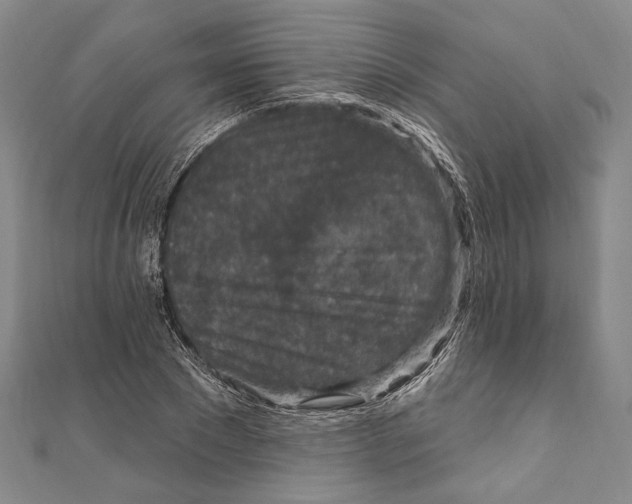 X0000111160881200907281151