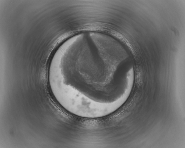 X0000111160882200907281151