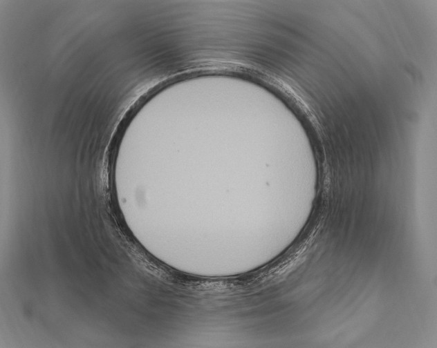X0000111160883200907281151