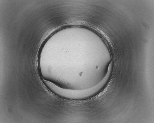 X0000111160885200907281151
