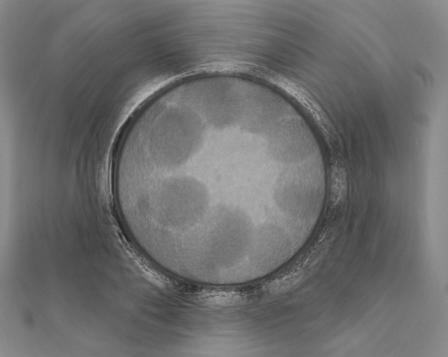 X0000111160886200907281151