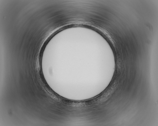 X0000111160887200907281151
