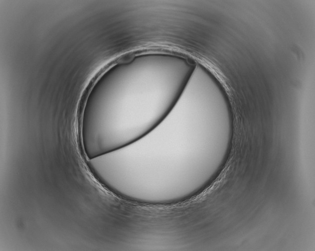 X0000111160888200907281150