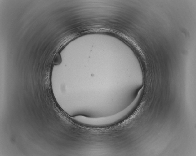 X0000111160889200907281150