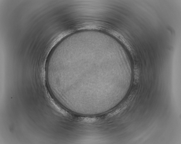 X0000111160890200907281150