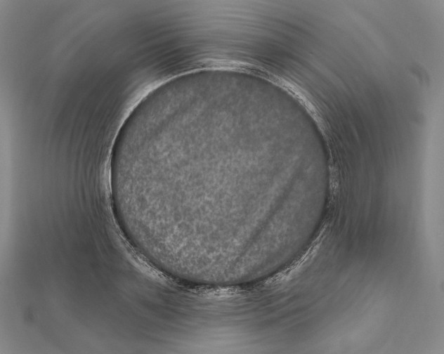 X0000111160891200907281150