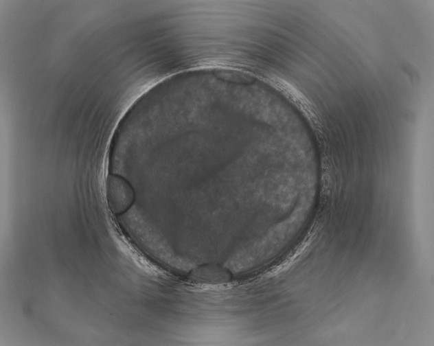 X0000111160892200907281150