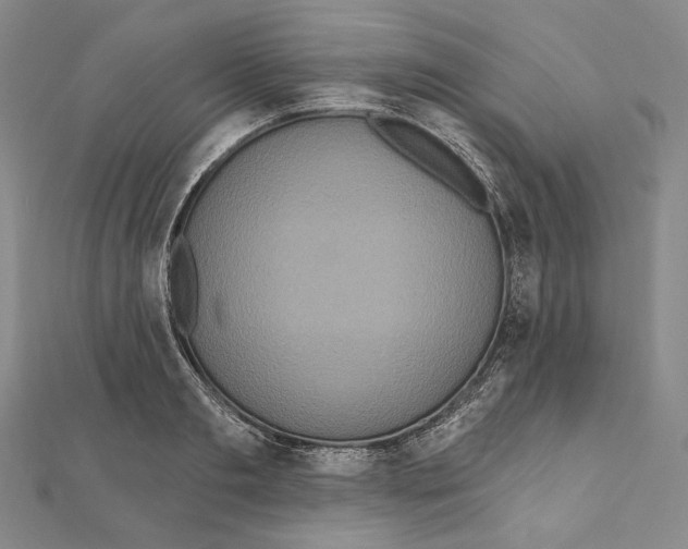 X0000111160893200907281150