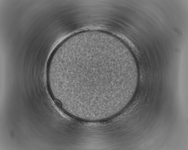 X0000111160894200907281150