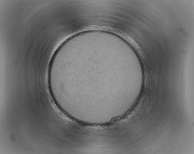 X0000111160896200907281150