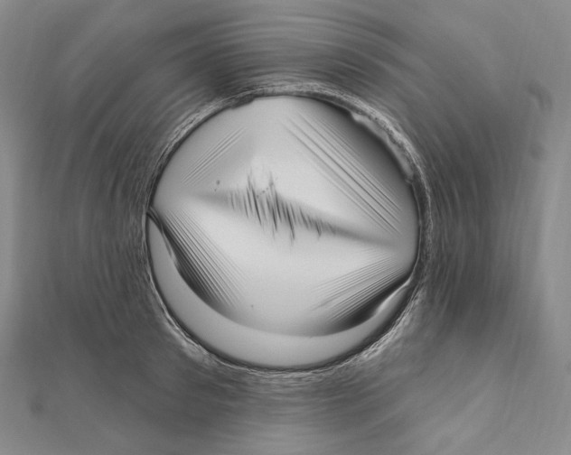 X0000111160897200907281150