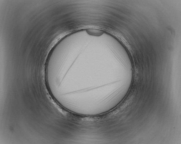 X0000111160898200907281150