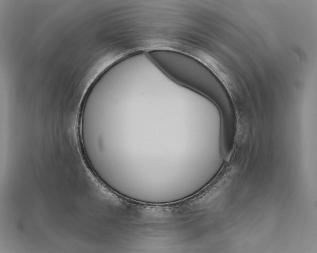 X0000111160901200907281150