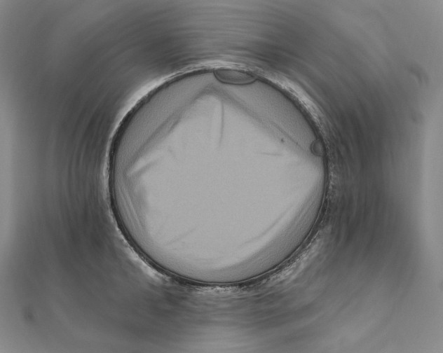 X0000111160902200907281150