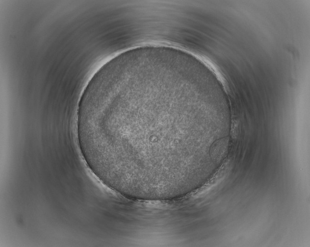 X0000111160903200907281150