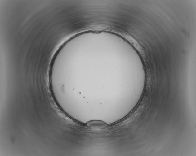 X0000111160904200907281150