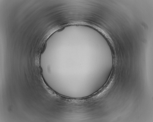 X0000111160905200907281150