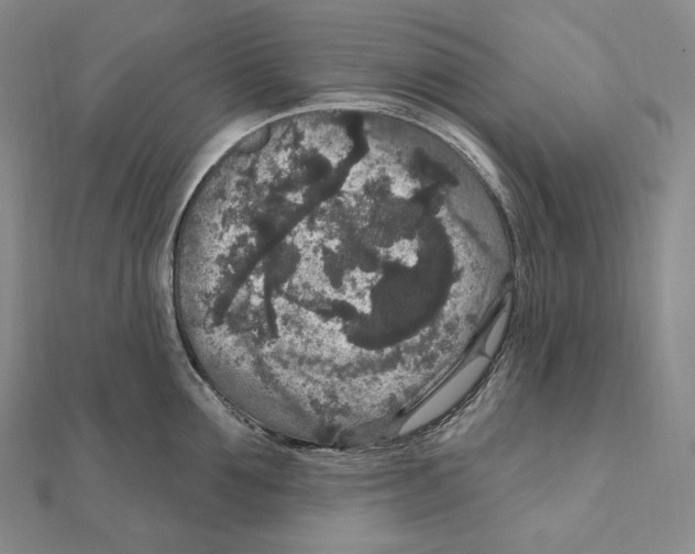 X0000111160907200907281150