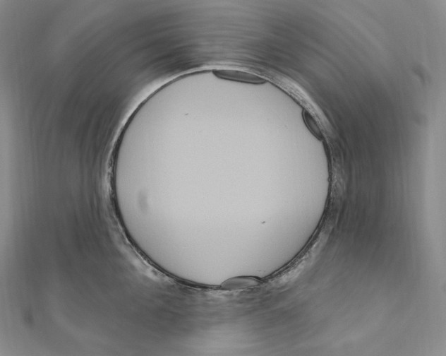 X0000111160908200907281150