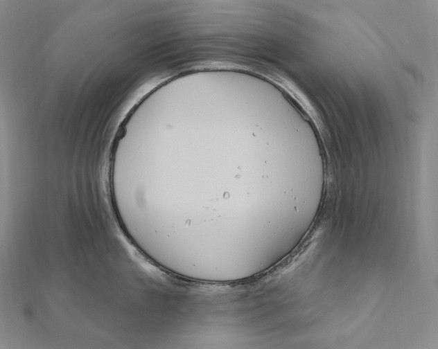 X0000111160909200907281150