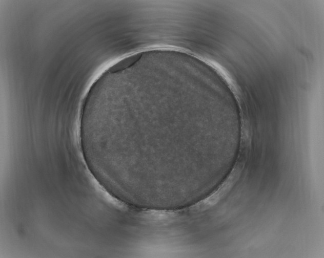 X0000111160910200907281150