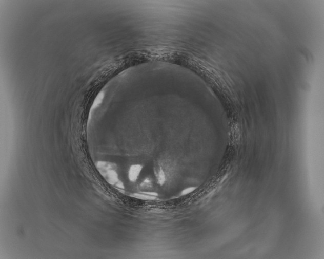 X0000111160913200907281149