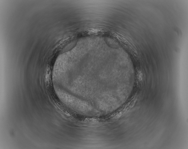 X0000111160914200907281150