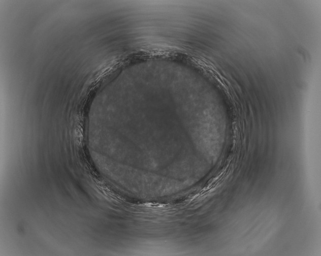 X0000111160916200907281150