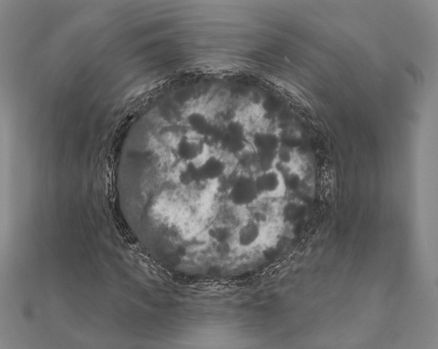 X0000111160917200907281150