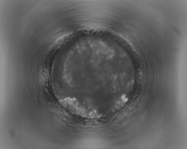 X0000111160918200907281150