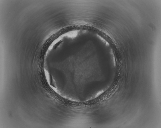 X0000111160919200907281150