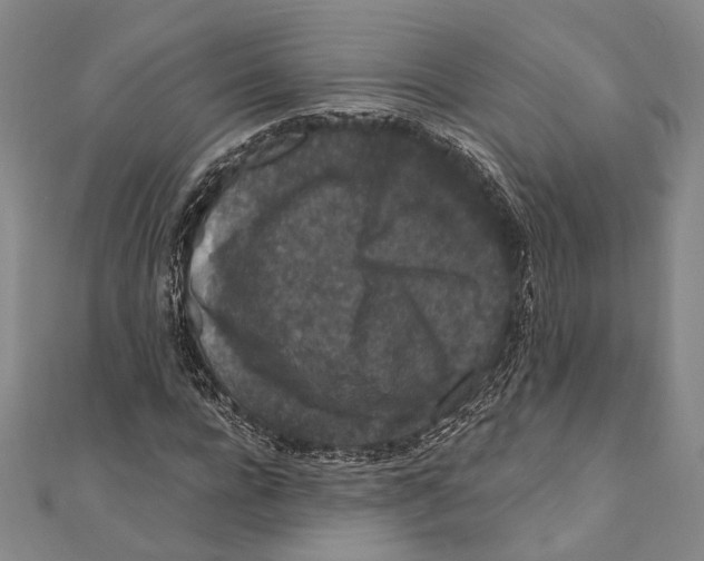 X0000111160920200907281150