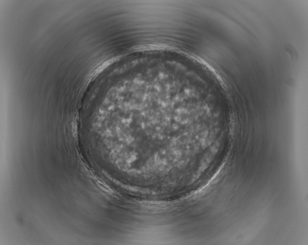 X0000111160921200907281150