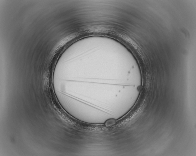 X0000111160922200907281150
