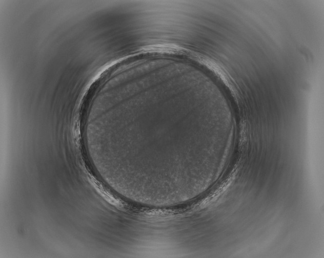 X0000111160923200907281150